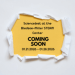 01.21.2026 - 01.28.2026