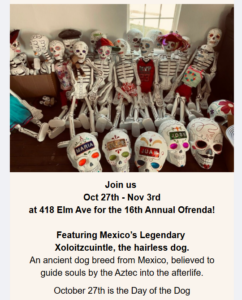 ofrenda_marketing