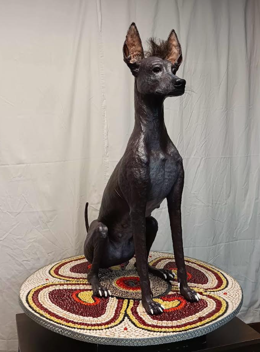 dogimg